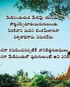 బుడత బుడత4