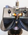 Mice wear VR goggles Mice wear VR goggles
