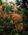 Two-fingered dino discovered Two-fingered dino discovered