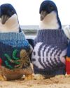Making pullovers for little penguins6