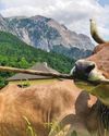 The Week Junior Science+Nature UK