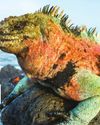 The Week Junior Science+Nature UK