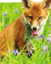 The Week Junior Science+Nature UK