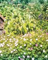 The Week Junior Science+Nature UK