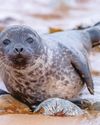 The Week Junior Science+Nature UK