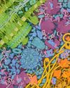 CLIMATE CHANGE IS DISRUPTING THE HUMAN GUT IN A NEW PATH TO ILLNESS15