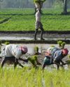 CONGRESS MLC URGES KARNATAKA TO PAY ADDITIONAL RI OF 4.25% TO NABARD TO AVAIL MORE LOANS TO GRANT FARM CREDIT7