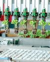 Automated Agriculture: Da Ros and FAULHABER Drive Smart Transplanting Automated Agriculture: Da Ros and FAULHABER Drive Smart Transplanting