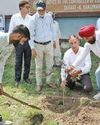 Plantation drive held at SKUAST13