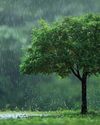 The Monsoon Romance29