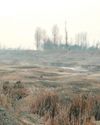 With unprecedented dry spell, Kupwara's water crisis escalates With unprecedented dry spell, Kupwara's water crisis escalates13