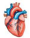 Cath labs without lifelines trigger cardiac care crisis1
