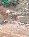 2 dead, crops ravaged in fresh weather fury across J&K2