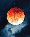'Blood Moon’: Total lunar eclipse enthrals skywatchers; clouds play spoilsport4