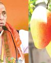 புதிய வகை மாம்பழத்துக்கு ராஜ்நாத் சிங் பெயர்66