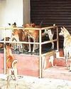 பள்ளி-கல்லூரி மாணவர்களுக்கு பேச்சுப் போட்டிகள்7
