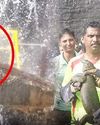 குற்றாலம்: அருவியில் அடித்து வரப்பட்ட ராட்சத உடும்பு23