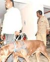 மிரட்டல் கடிதம் எதிரொலி - ஈரோடு கலெக்டர் அலுவலகத்தில் வெடிகுண்டு நிபுணர்கள் சோதனை43