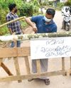 கேரளாவில் 2 பேருக்கு நிபா வைரஸ் அறிகுறிகள்54