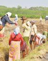 100 நாள் வேலை திட்ட தொழிலாளர்களுக்கு சம்பளம் உயர்வு24