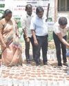 உலக சுற்றுச்சூழல் தினத்தை முன்னிட்டு, மரக்கன்றுகள் உற்பத்திக்கான விதை நடவு பணிகள்11