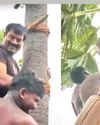 தூத்துக்குடி: கள் இறக்கும் போராட்டத்தில் பங்கேற்று பனை மரம் ஏறிய சீமான்68