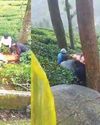முன்னூறு அருகே ஜீப் கவிழ்ந்து சென்னை பயணி பலி39