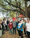 महाराष्ट्र का चिपको आंदोलन1