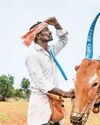 Outlook Hindi