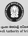 A strategy for Mahaweli authority to meet future challenges amidst moves to close it down20