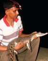 Ancient Survivors and New Guardians: Dr. Anslem de Silva's lifelong quest to protect Sri Lanka's crocodiles22