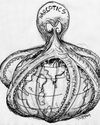Emerging trends in drug trafficking in the South Asian region: A Sri Lankan perspective13
