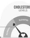 A glimpse into future cholesterol control: A time without daily pills perhaps?13