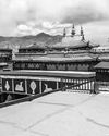 “Religious rituals are fundamental source of legitimacy for Reincarnation of Living Buddhas”16