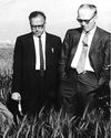 With Trump shutting USAID, Father of Green Revolution Norman Borlaug's research institute knocks on India's doors14