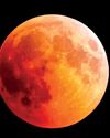 Lanka to witness rare ‘Blood Moon' on Sept 717