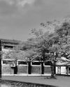 Centenary of the first Health Unit, Kalutara16