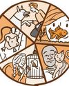 Pets and relief from stress23