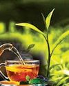 Tea market softens as key buyers reduce activity24