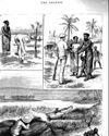 No evidence that babies were used as bait in colonial Sri Lanka, says leading herpetologist23