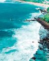 Sri Lanka's coastline faces unfolding catastrophe: Expert4
