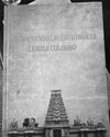 Vivid chronicle of iconic Hindu temple12