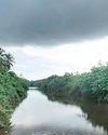 The Island