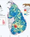 Human-caused leopard deaths soar in Sri Lanka's Central Highlands, new study warns Human-caused leopard deaths soar in Sri Lanka's Central Highlands, new study warns16