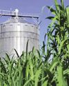 Let's tread slowly with biofuel ambitions Let's tread slowly with biofuel ambitions11