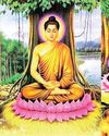 Vesak: Celebrating the Birth of Wisdom and the Seeds of Peace Vesak: Celebrating the Birth of Wisdom and the Seeds of Peace