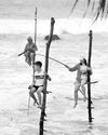 Chinese tourists flock to Lanka despite strained ties Chinese tourists flock to Lanka despite strained ties