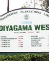 Diyagama West Estate and its timeless legacy of tea innovation and sustainability Diyagama West Estate and its timeless legacy of tea innovation and sustainability48