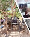 THE ELEPHANT TRANSIT HOME AT UDA WALAWE:16