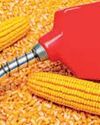 Hidden price of India’s ethanol rush16